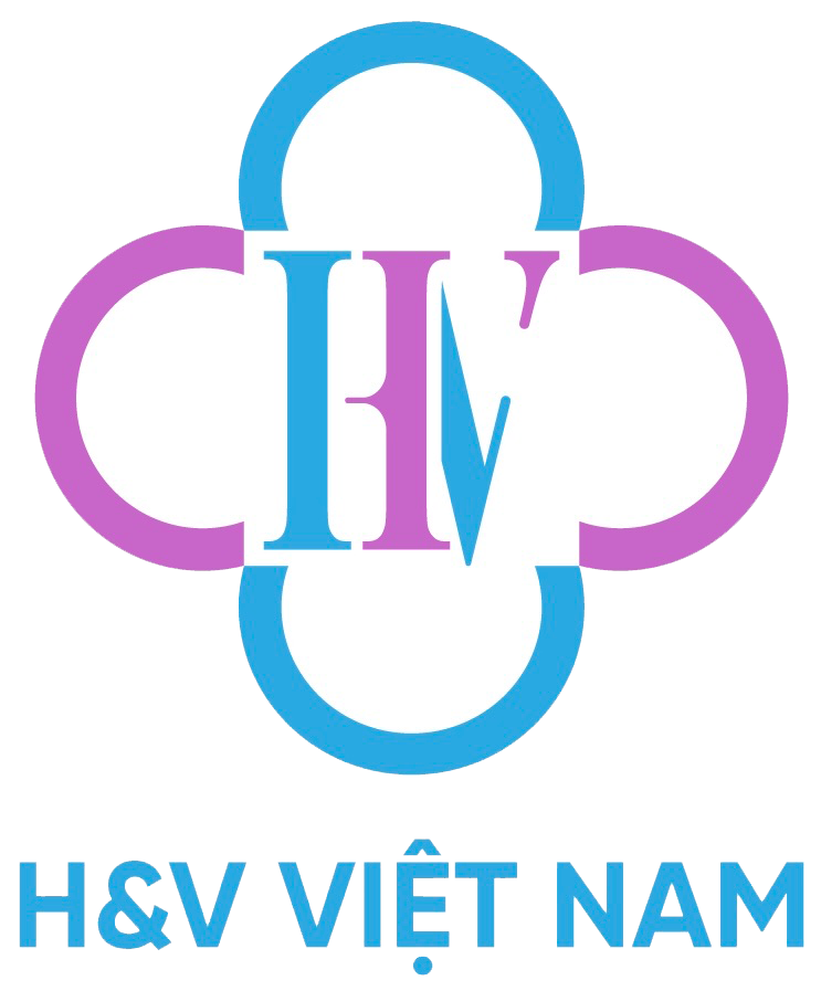 CÔNG TY TNHH H&V VIỆT NAM